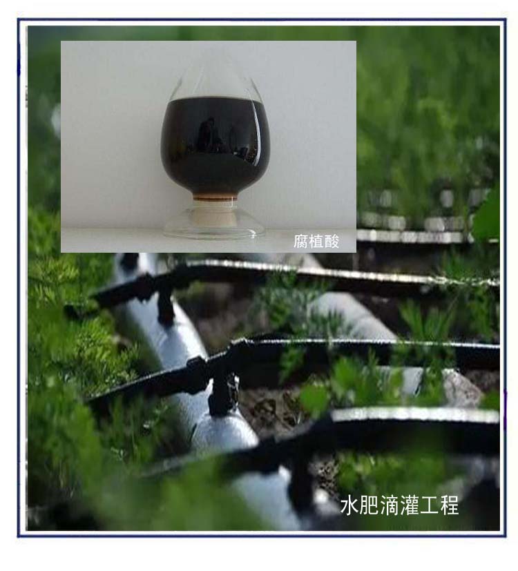 無標(biāo)題  5.jpg